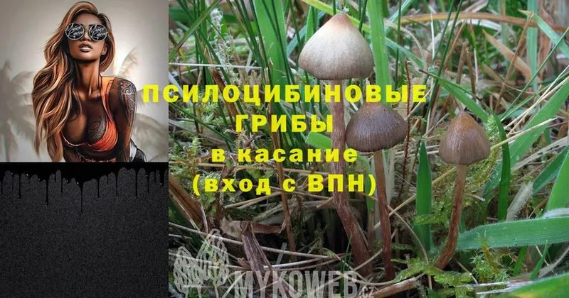 Псилоцибиновые грибы Magic Shrooms  kraken ССЫЛКА  Касли  сколько стоит 